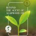 The Agarwood Oil Book
