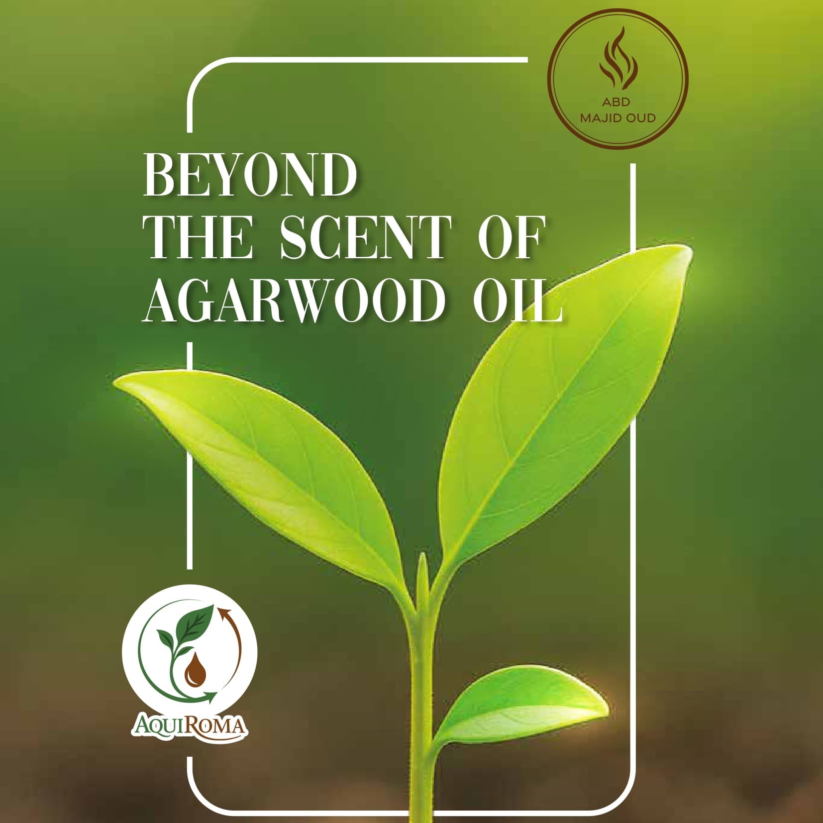 The Agarwood Oil Book